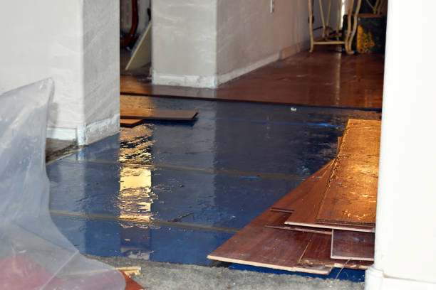 Professional Water Damage Restoration technician working in Preston, CT